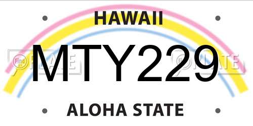 MTY229 Hawaii License Plate