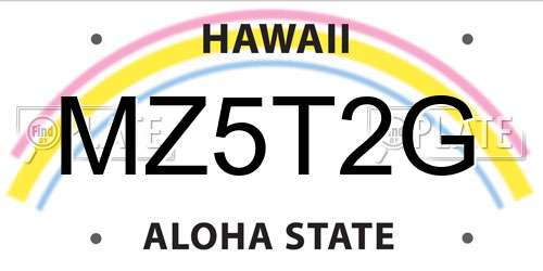 MZ5T2G Hawaii License Plate