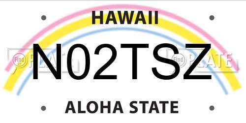 N02TSZ Hawaii License Plate