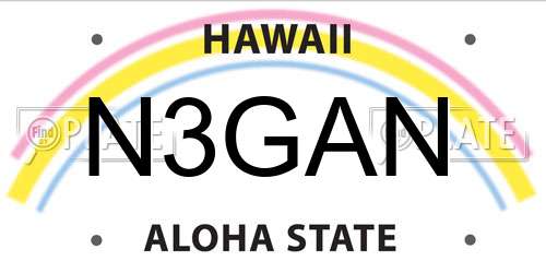 N3GAN Hawaii License Plate