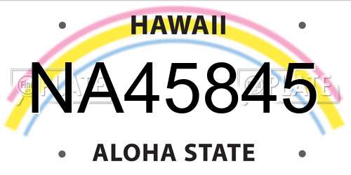NA45845 Hawaii License Plate