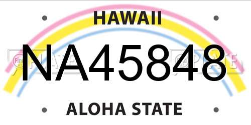 NA45848 Hawaii License Plate