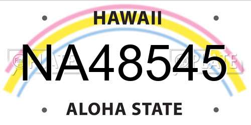 NA48545 Hawaii License Plate