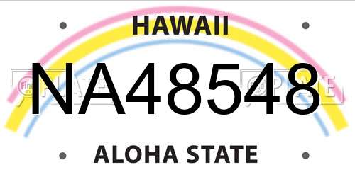 NA48548 Hawaii License Plate