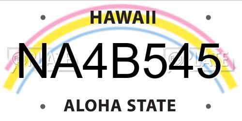 NA4B545 Hawaii License Plate