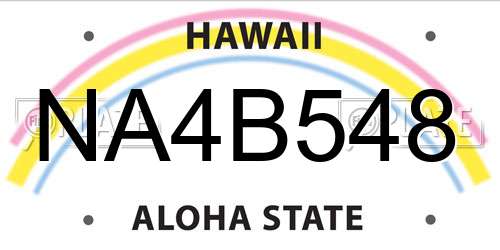 NA4B548 Hawaii License Plate