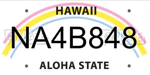 NA4B848 Hawaii License Plate