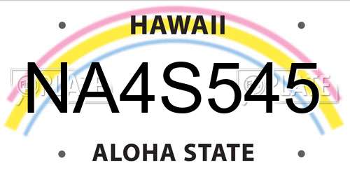 NA4S545 Hawaii License Plate
