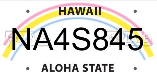 NA4S845 Hawaii License Plate