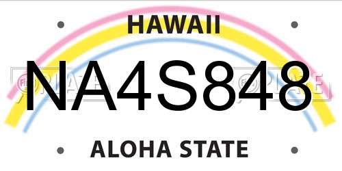 NA4S848 Hawaii License Plate