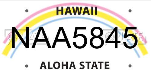 NAA5845 Hawaii License Plate