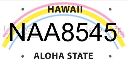 NAA8545 Hawaii License Plate