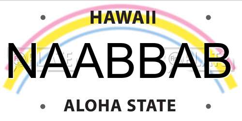 NAABBAB Hawaii License Plate