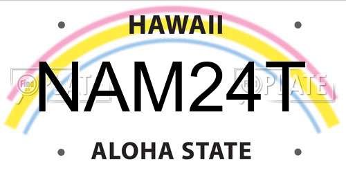 NAM24T Hawaii License Plate