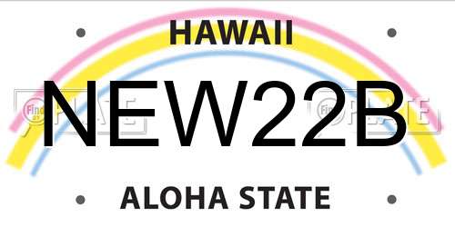 NEW22B Hawaii License Plate