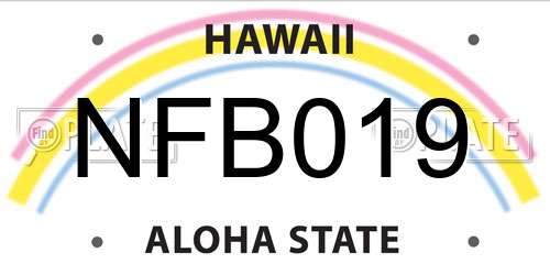 NFB019 Hawaii License Plate