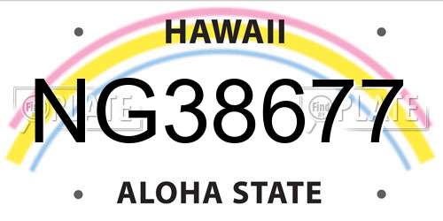 NG38677 Hawaii License Plate