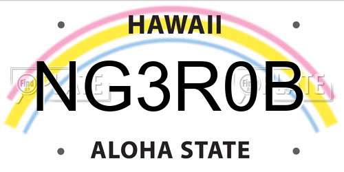 NG3R0B Hawaii License Plate