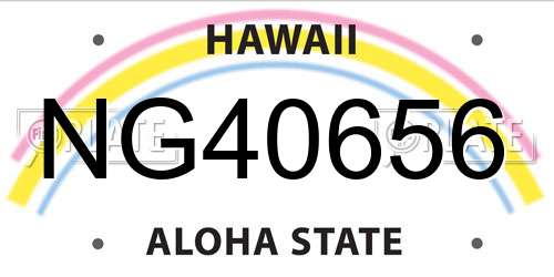 NG40656 Hawaii License Plate