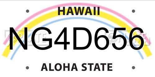 NG4D656 Hawaii License Plate
