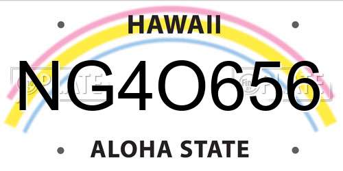 NG4O656 Hawaii License Plate
