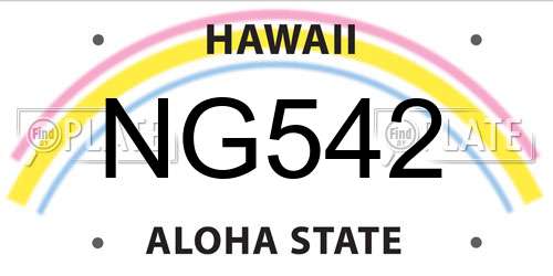 NG542 Hawaii License Plate