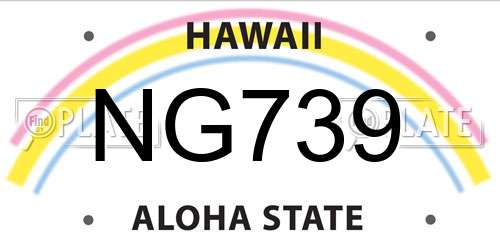 NG739 Hawaii License Plate