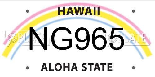 NG965 Hawaii License Plate