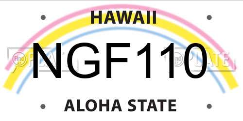 NGF110 Hawaii License Plate