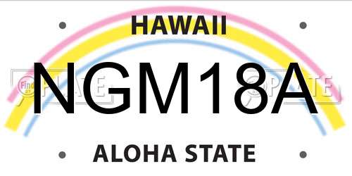 NGM18A Hawaii License Plate