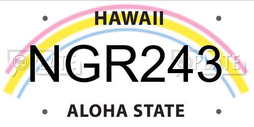 NGR243 Hawaii License Plate