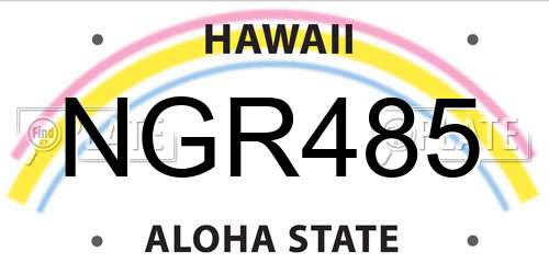 NGR485 Hawaii License Plate