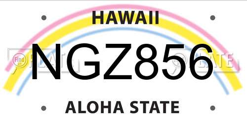 NGZ856 Hawaii License Plate