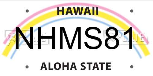 NHMS81 Hawaii License Plate