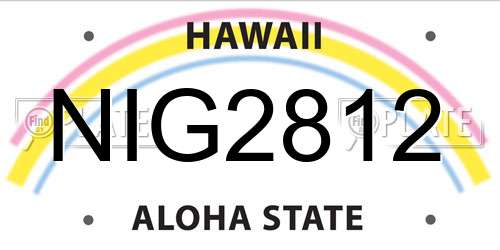 NIG2812 Hawaii License Plate
