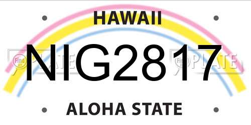 NIG2817 Hawaii License Plate