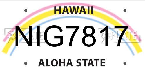 NIG7817 Hawaii License Plate