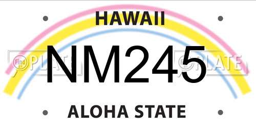 NM245 Hawaii License Plate