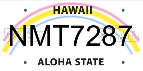 NMT7287 Hawaii License Plate