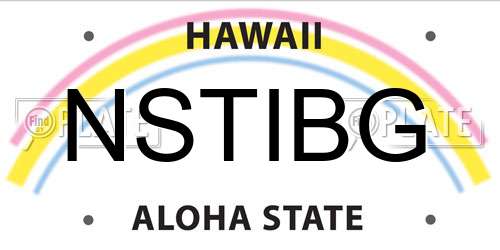 NSTIBG Hawaii License Plate