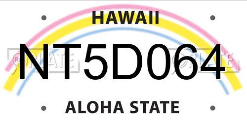 NT5D064 Hawaii License Plate