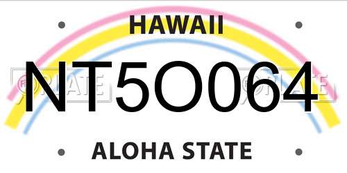 NT5O064 Hawaii License Plate
