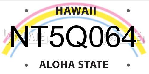 NT5Q064 Hawaii License Plate