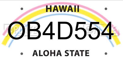 OB4D554 Hawaii License Plate