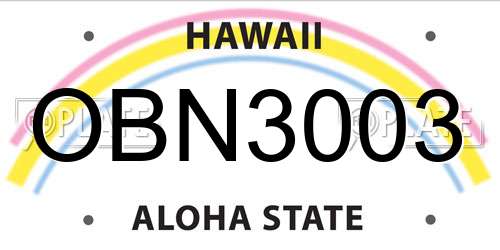 OBN3003 Hawaii License Plate