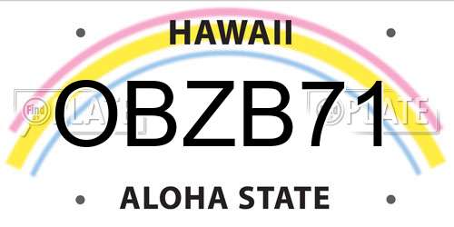 OBZB71 Hawaii License Plate