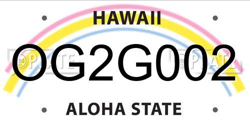 OG2G002 Hawaii License Plate