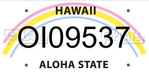 OI09537 Hawaii License Plate