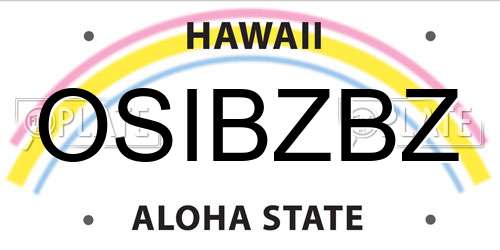 OSIBZBZ Hawaii License Plate