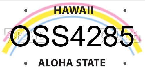 OSS4285 Hawaii License Plate